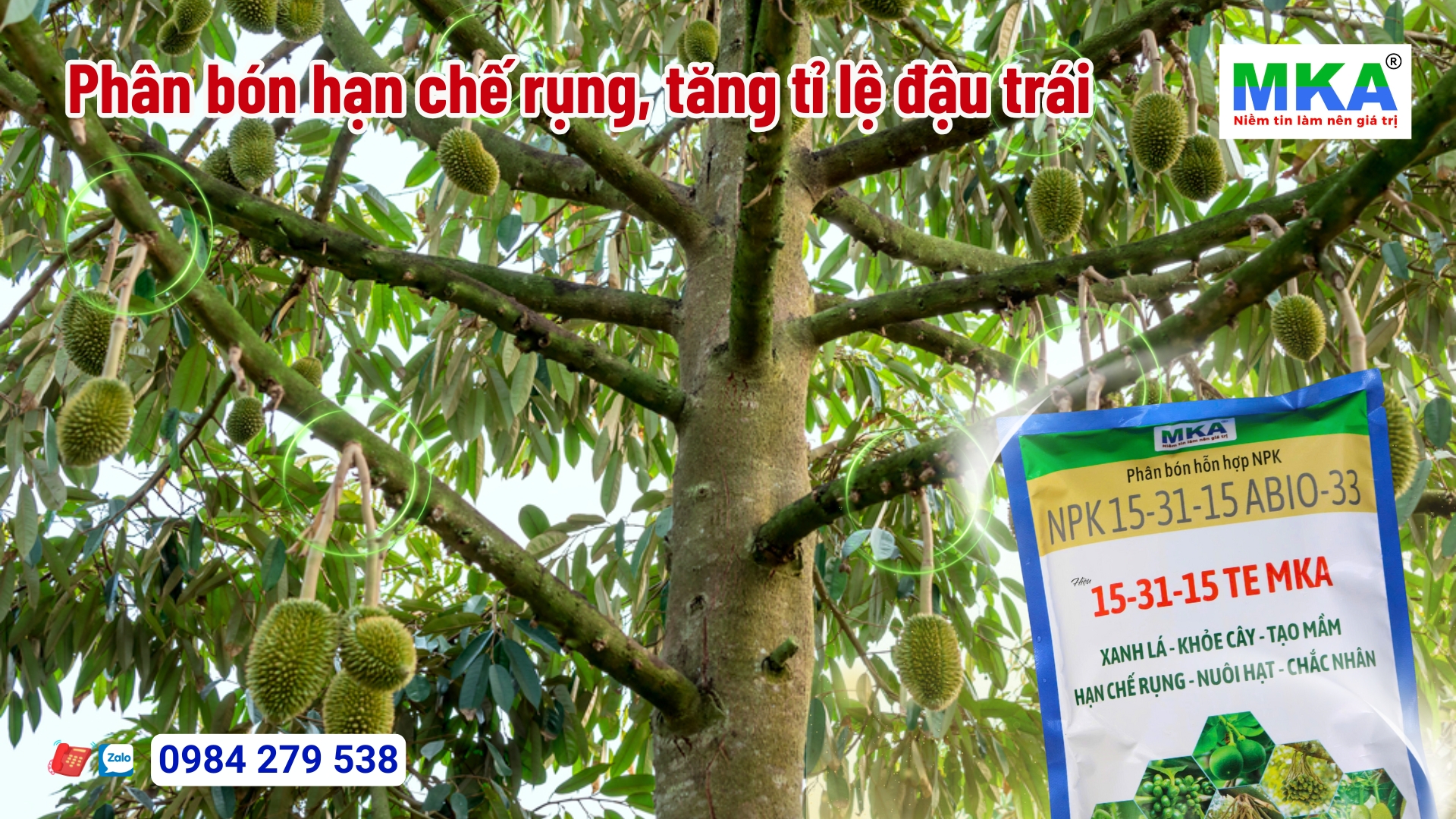 Phân bón NPK hòa tan 15-31-15 + TE